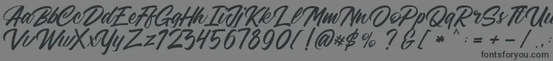 Шрифт FreeAdelaide – чёрные шрифты на сером фоне