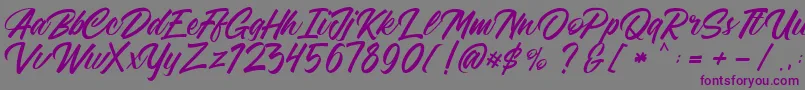 FreeAdelaide-fontti – violetit fontit harmaalla taustalla