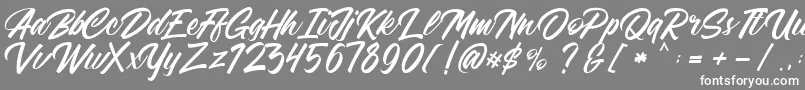 FreeAdelaide Font – White Fonts on Gray Background