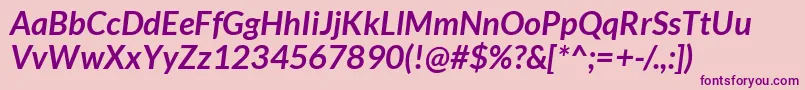 LatoBoldItalic Font – Purple Fonts on Pink Background