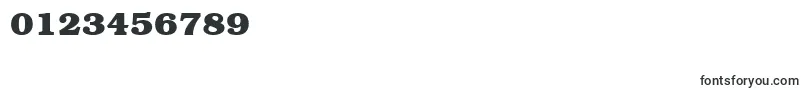 ItcBookmanLtBold Font – Fonts for Numbers and Digits