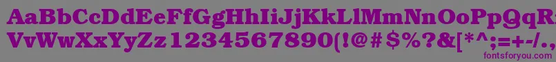 ItcBookmanLtBold Font – Purple Fonts on Gray Background