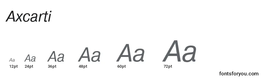 Размеры шрифта Axcarti