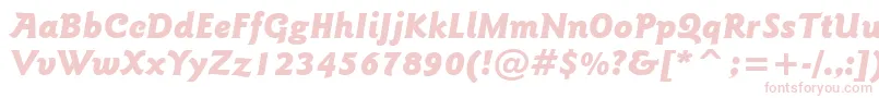 GoudySansBlackItalicBt Font – Pink Fonts on White Background