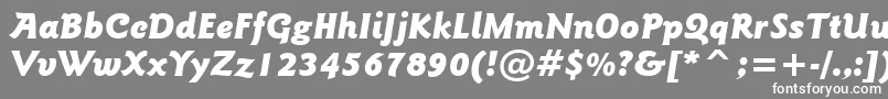 フォントGoudySansBlackItalicBt – 灰色の背景に白い文字