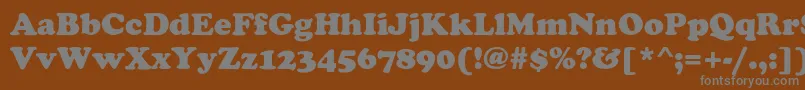FennimoreHeavy-Schriftart – Graue Schriften auf braunem Hintergrund