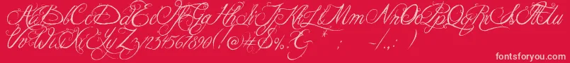 Jellykakingshat Font – Pink Fonts on Red Background