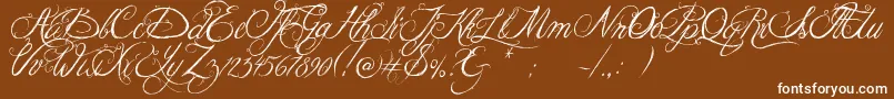 Jellykakingshat Font – White Fonts on Brown Background