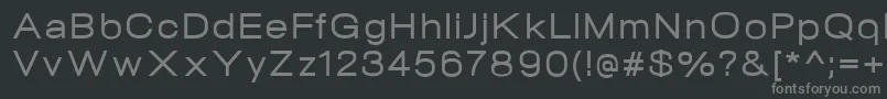 Lisätietoja NeogramMediumextd-fontista NeogramMediumextd-fontti – harmaat kirjasimet mustalla taustalla