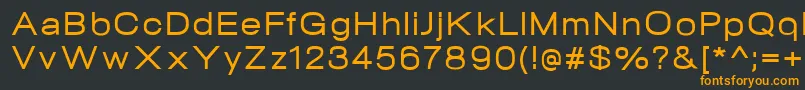 フォントNeogramMediumextd – 黒い背景にオレンジの文字