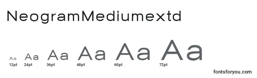 NeogramMediumextd Font Sizes