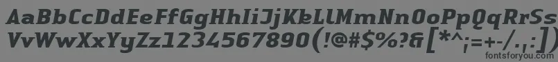 Fonte LinotypeAuthenticSmallSerifBoldit – fontes pretas em um fundo cinza