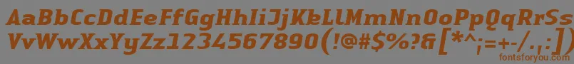 Police LinotypeAuthenticSmallSerifBoldit – polices brunes sur fond gris