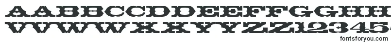 ThunderbirdBt Font – Fonts for Adobe Premiere Pro