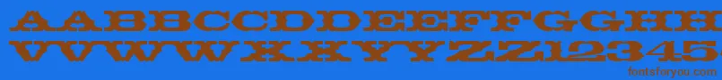 ThunderbirdBt Font – Brown Fonts on Blue Background