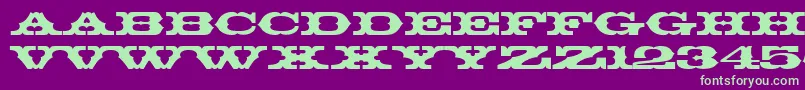 ThunderbirdBt Font – Green Fonts on Purple Background