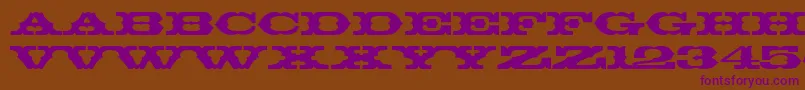 ThunderbirdBt-Schriftart – Violette Schriften auf braunem Hintergrund