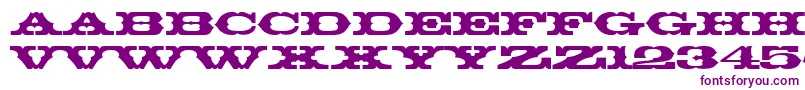 ThunderbirdBt Font – Purple Fonts