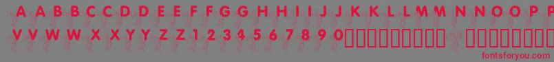 LmsPiggletsLuckOfTheIrish Font – Red Fonts on Gray Background