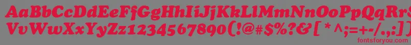 CupertinoItalic-fontti – punaiset fontit harmaalla taustalla