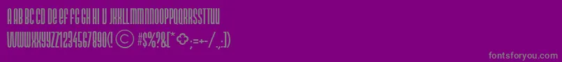 NeonlightdbNormal Font – Gray Fonts on Purple Background