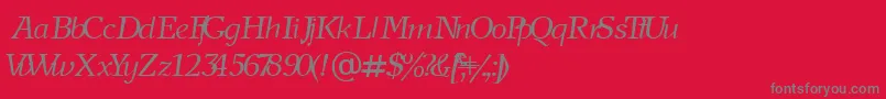 NewjournalCyrillicItalic Font – Gray Fonts on Red Background