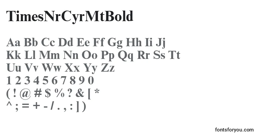 Czcionka TimesNrCyrMtBold – alfabet, cyfry, specjalne znaki