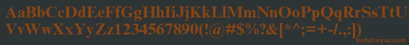 TimesNrCyrMtBold Font – Brown Fonts on Black Background