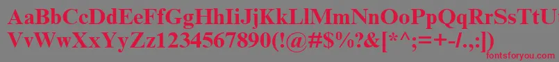 TimesNrCyrMtBold Font – Red Fonts on Gray Background