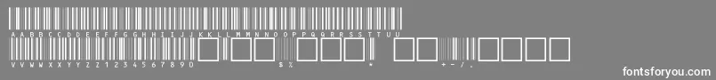 フォントC13 – 灰色の背景に白い文字