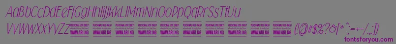 Falkinsansitalicpersonal Font – Purple Fonts on Gray Background