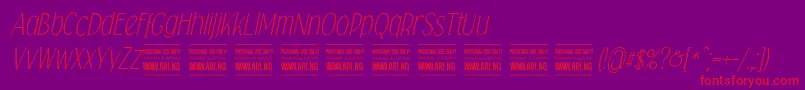 Falkinsansitalicpersonal Font – Red Fonts on Purple Background