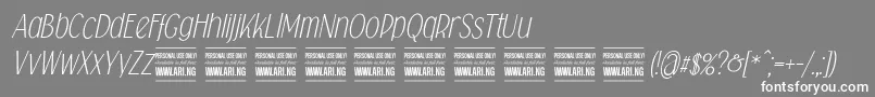 Falkinsansitalicpersonal Font – White Fonts on Gray Background