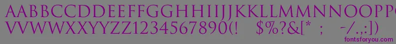 Trajax-fontti – violetit fontit harmaalla taustalla