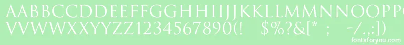 Trajax Font – White Fonts on Green Background