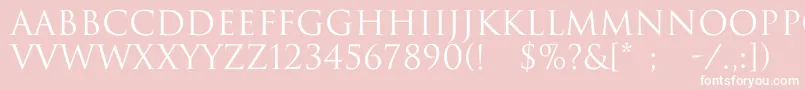 Trajax Font – White Fonts on Pink Background