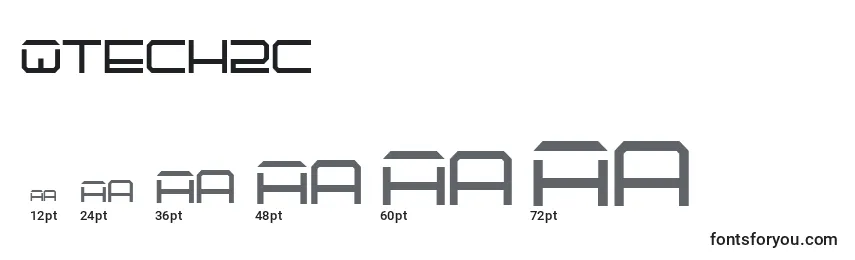 Qtech2c Font Sizes