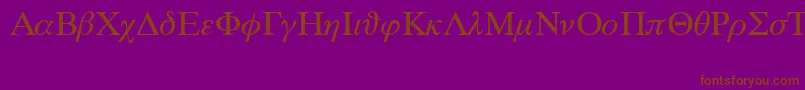 SymbolProportionalBt Font – Brown Fonts on Purple Background