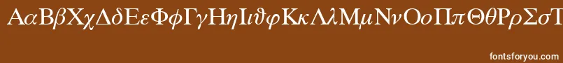 SymbolProportionalBt-Schriftart – Weiße Schriften auf braunem Hintergrund
