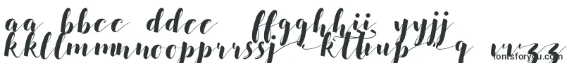 Salsabilla Font – Lithuanian Fonts