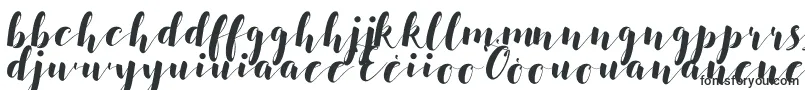 Подробнее о шрифте Salsabilla Шрифт Salsabilla – креольские шрифты