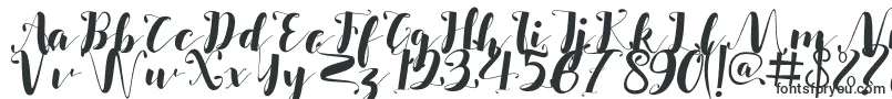 Шрифт Salsabilla – трендовые шрифты