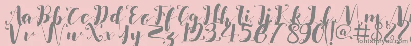 Salsabilla Font – Gray Fonts on Pink Background