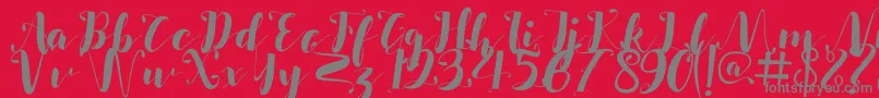フォントSalsabilla – 赤い背景に灰色の文字