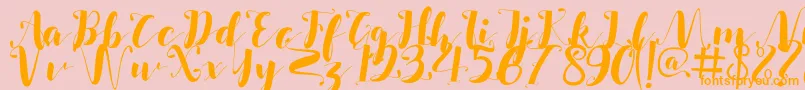 Salsabilla-Schriftart – Orangefarbene Schriften auf rosa Hintergrund