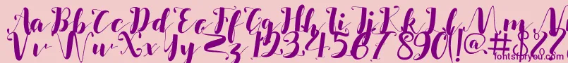 Salsabilla Font – Purple Fonts on Pink Background