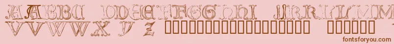 TheTombWinterAndSpring1 Font – Brown Fonts on Pink Background