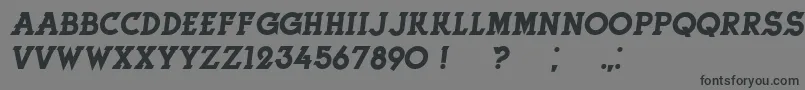 HerneItalic-Schriftart – Schwarze Schriften auf grauem Hintergrund