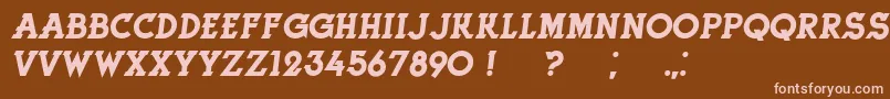 HerneItalic Font – Pink Fonts on Brown Background