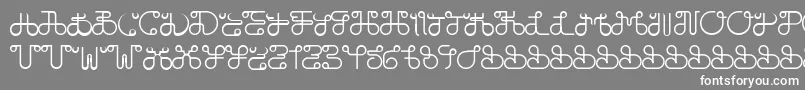 フォントDobilasSteady – 灰色の背景に白い文字